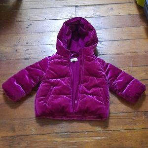 Gymboree Girls Purple Winter Jacket